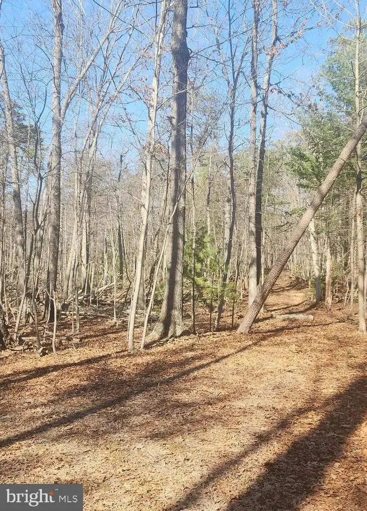 0 Dogwood Ln, Bentonville, VA 22610 - #3