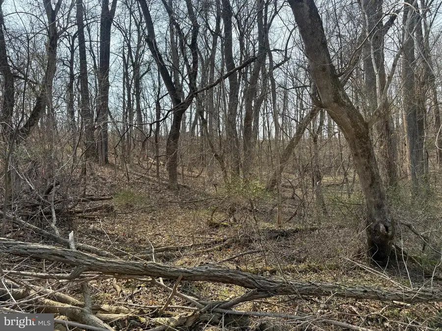 Lot A6 Harris Dr, Front Royal, VA 22630 - #3