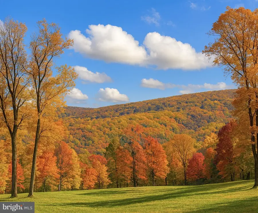 5 Lee Drive, Linden, VA 22642 - #2