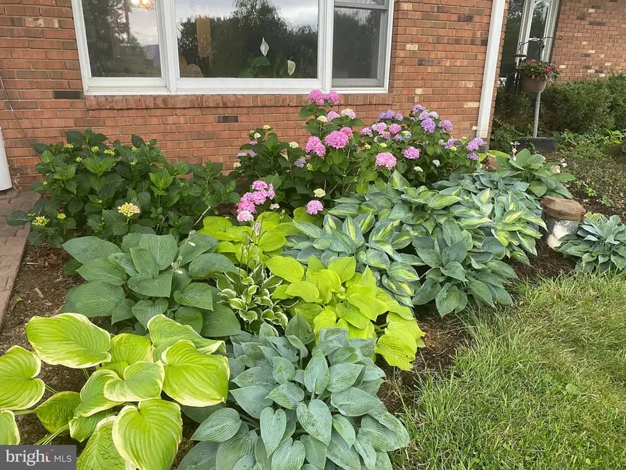 165 Wilson Burke Rd, Front Royal, VA 22630 - #3