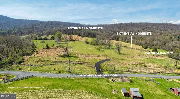 Gooney Manor Loop, BENTONVILLE, VA 22610