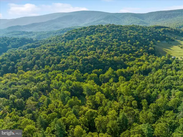 49a4 Gooney Manor Loop, BENTONVILLE, VA 22610