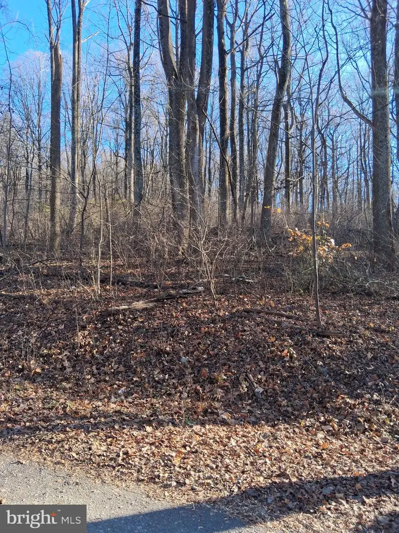 Reid Dr, Front Royal, VA 22630 - #3