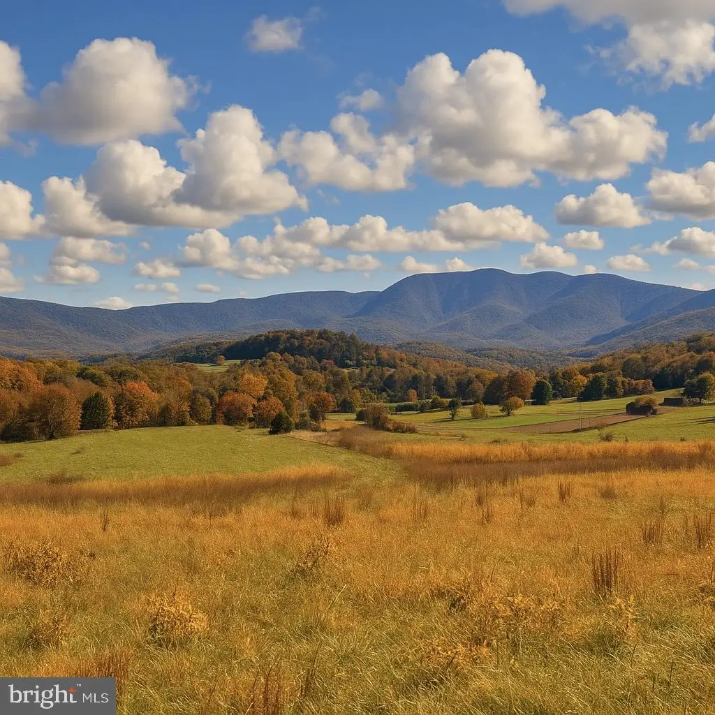 Parcel 63 Buck Mountain Rd, Bentonville, VA 22610 - #1