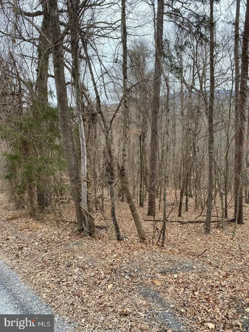 60 Old Oregon Rd, Front Royal, VA 22630 - #1