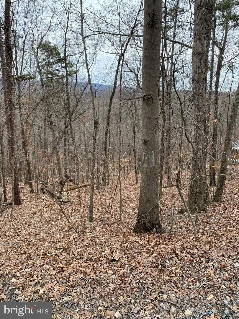 60 Old Oregon Rd, Front Royal, VA 22630 - #2