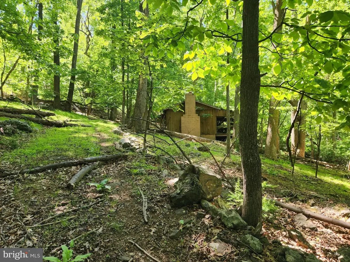 Cashmere Ct, Linden, VA 22642 - #1