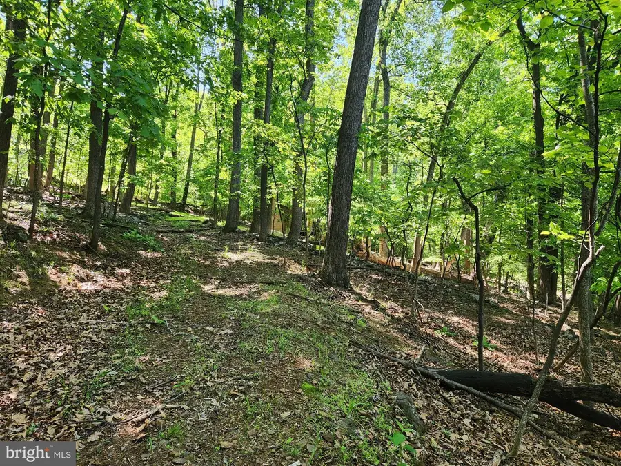 Cashmere Ct, Linden, VA 22642 - #2