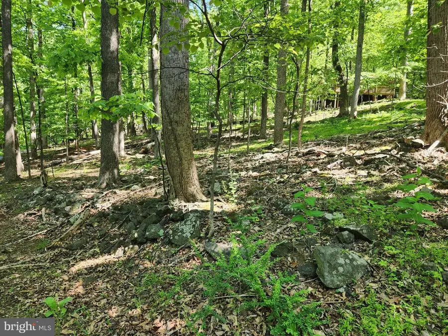 Cashmere Ct, Linden, VA 22642 - #3