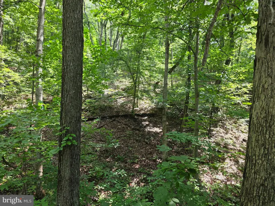 Hillandale Rd Lot 31, Front Royal, VA 22630 - #2