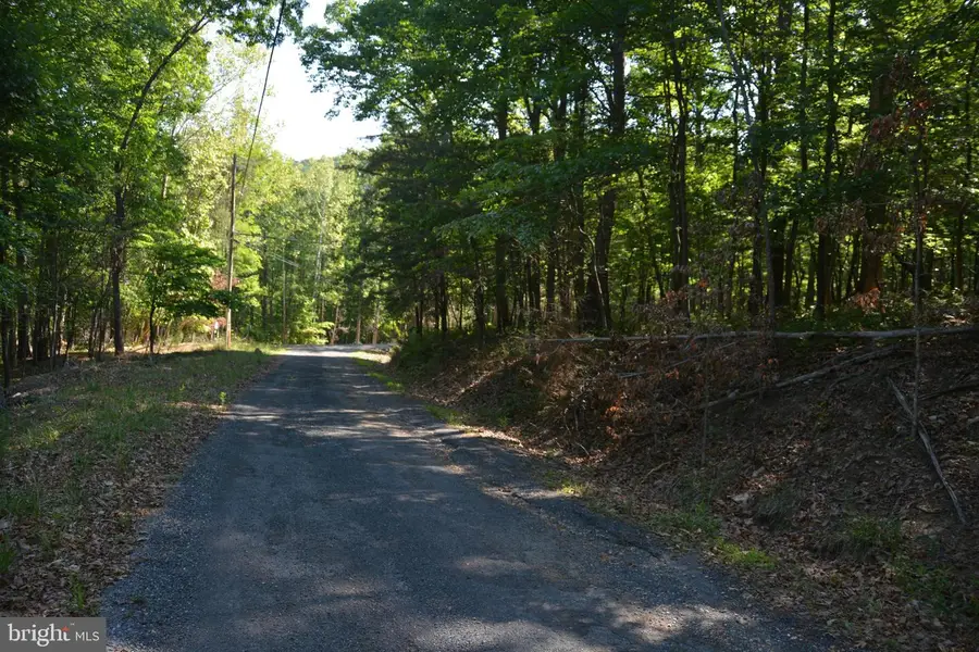 3 Lots - 59, 60, 61 Baldwin Rd, Front Royal, VA 22630 - #3
