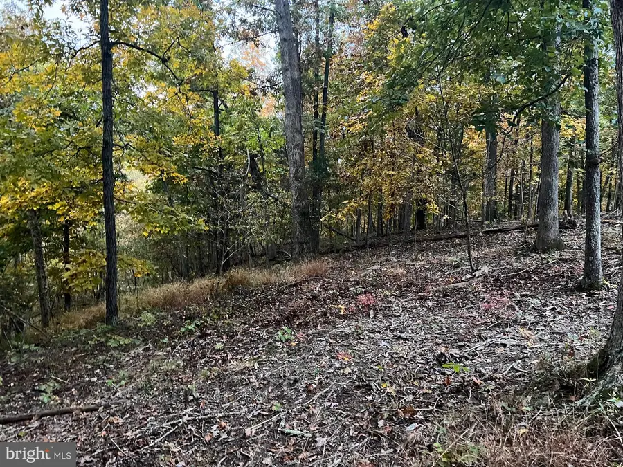 Lot 23 Oak Hill Ct, Stephens City, VA 22655 - #3