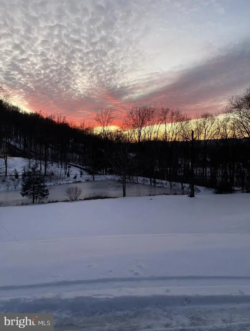 1729 Buck Mountain Rd, Bentonville, VA 22610 - #2