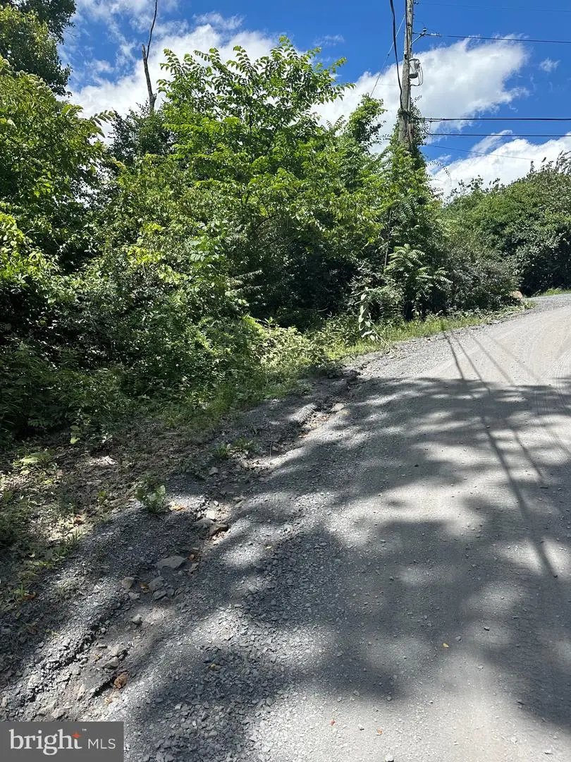 2lots; 463, 462 Reid Dr, Front Royal, VA 22630 - #2
