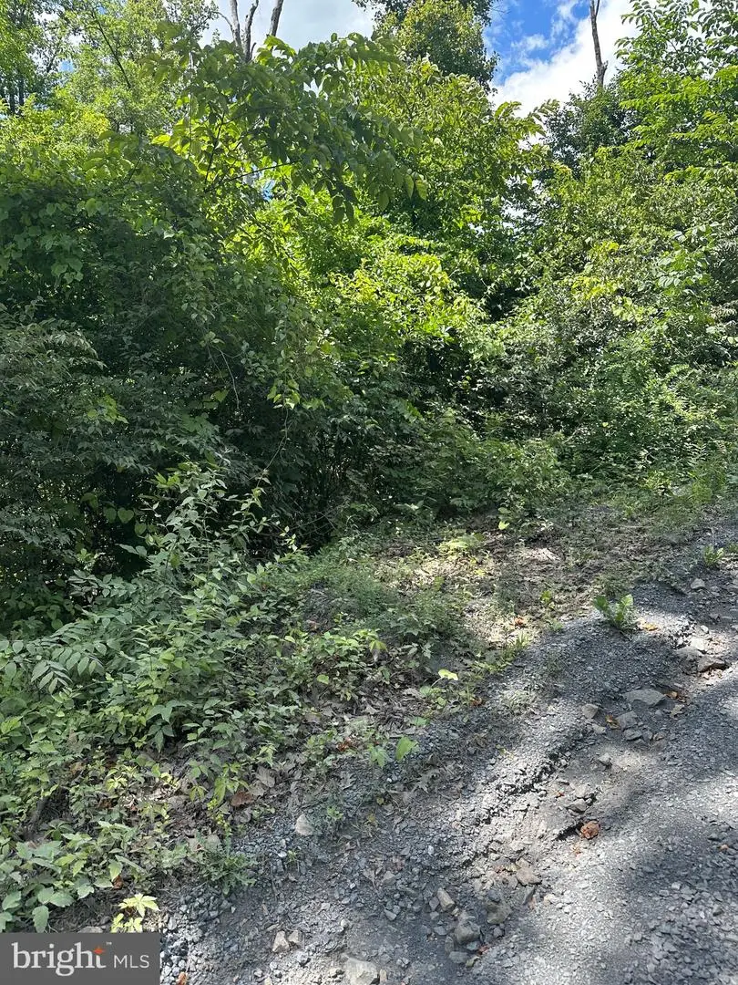 2lots; 463, 462 Reid Dr, Front Royal, VA 22630 - #3