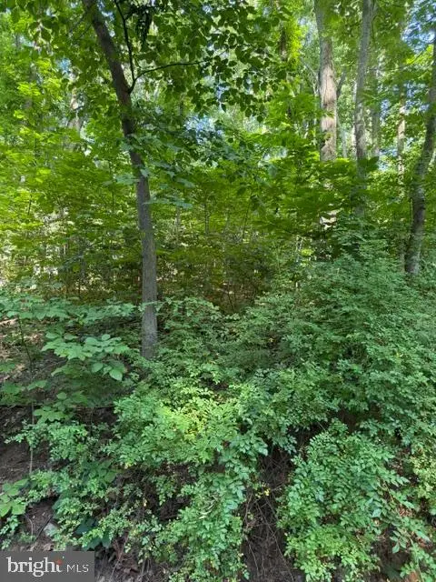 0 Lot 413 Easy Hollow Rd #lot 413, Front Royal, VA 22630 - #1