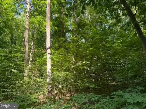 0 Lot 413 Easy Hollow Rd #lot 413, Front Royal, VA 22630 - #2