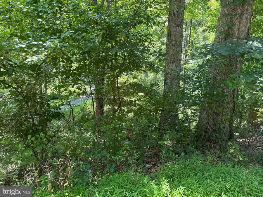 Lot 16 High Knob Ct, Front Royal, VA 22630 - #3