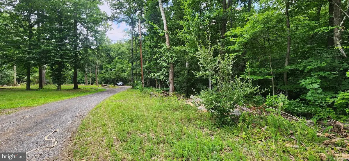Lot 202 & 203 Bobbie Ct, Front Royal, VA 22630 - #1
