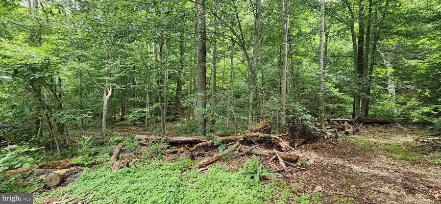 Lot 202 & 203 Bobbie Ct, Front Royal, VA 22630 - #2