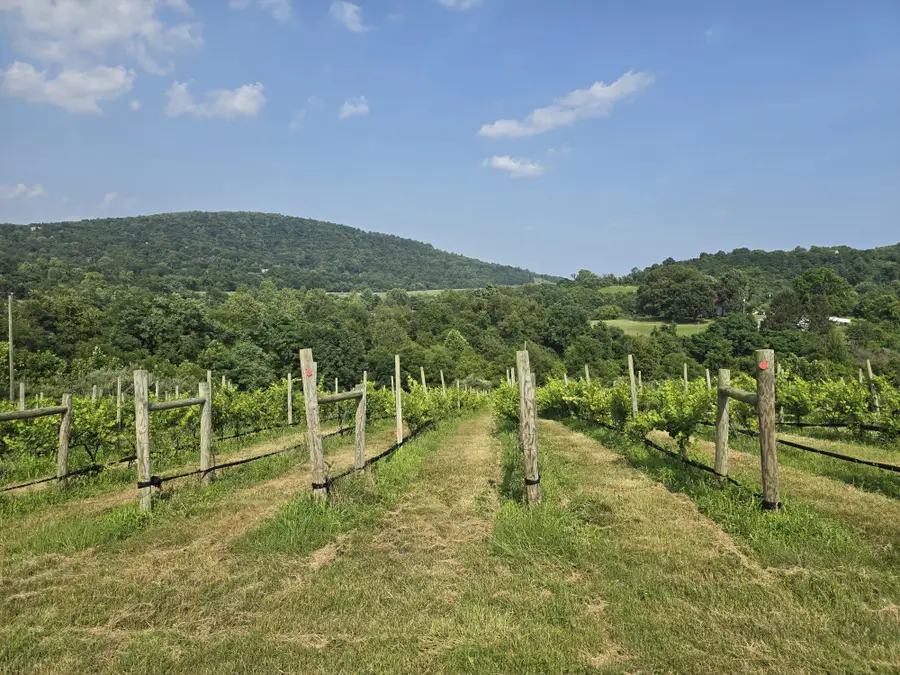 Red Barn Ln, Front Royal, VA 22630 - #2