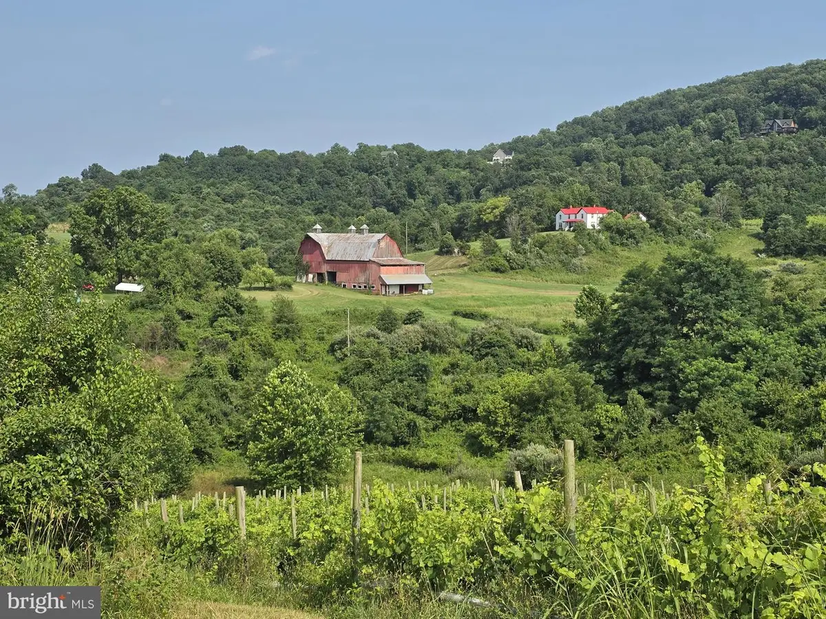 Red Barn Ln, Linden, VA 22642 - #1