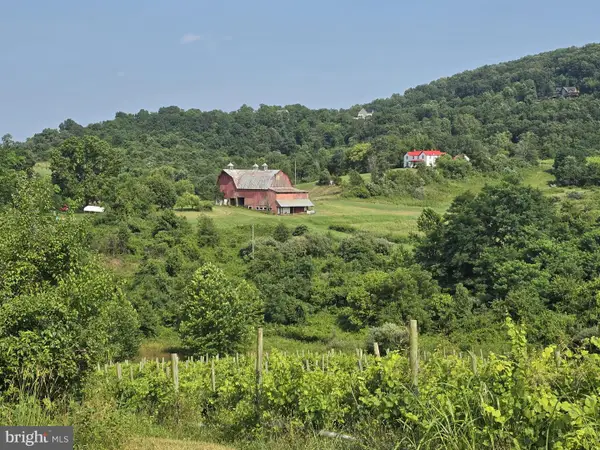 Red Barn Ln, LINDEN, VA 22642