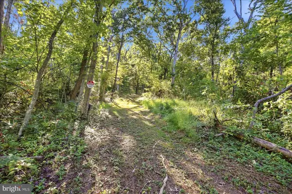 Valley Park Ct, STRASBURG, VA 22657