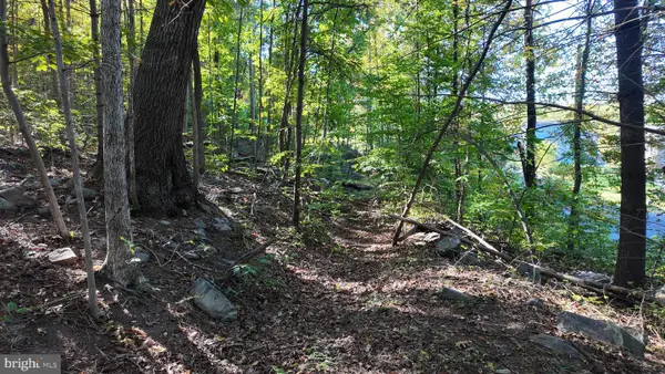 Drummer Hill Rd, FRONT ROYAL, VA 22630