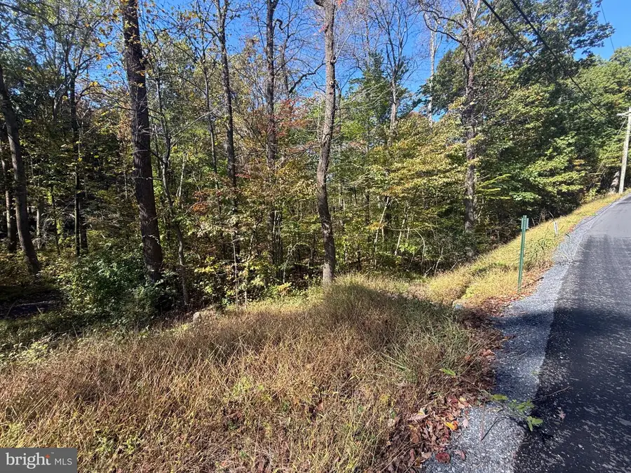 Lots 207-211 Venus Branch Rd, Front Royal, VA 22630 - #3