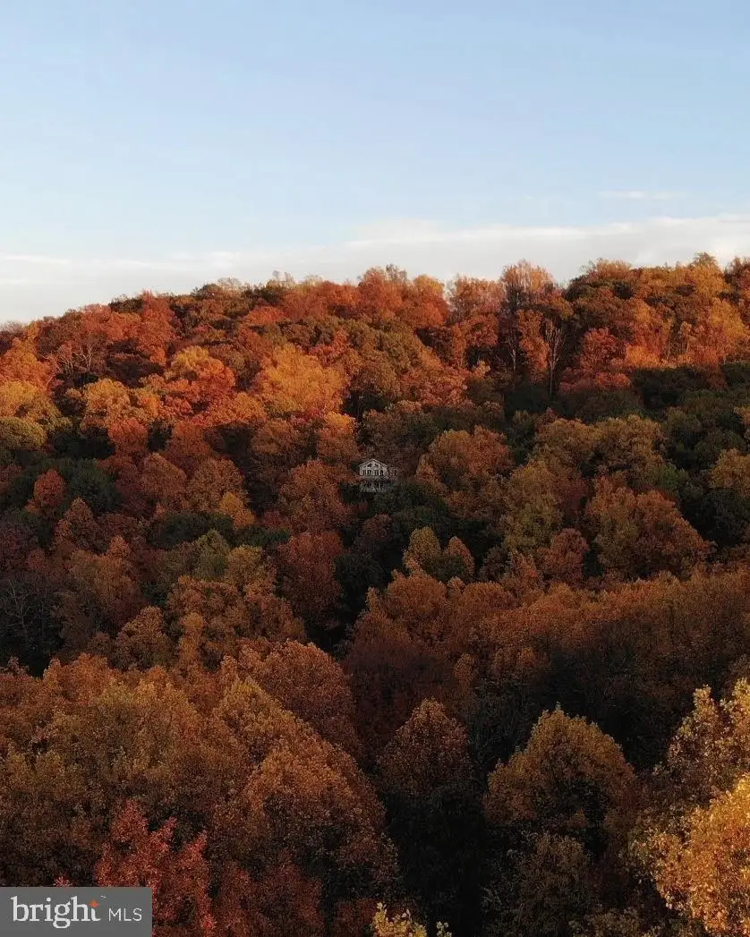 2168 High Top Rd, Linden, VA 22642 - #3