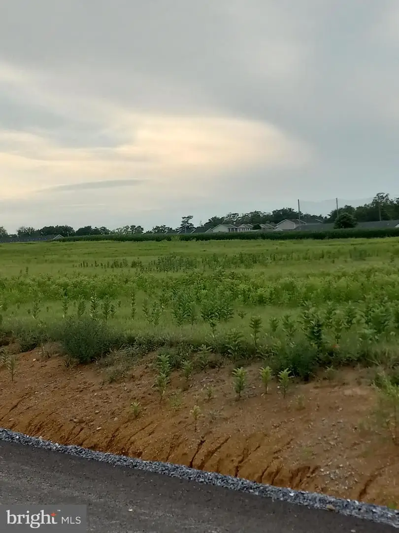 Tabler Station Road, Inwood, WV 25428 - Image #3