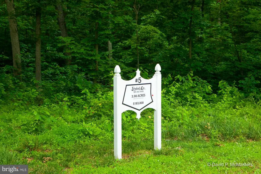 Lot #5 Shepherds Cove Swift River Way, Shepherdstown, WV 25443 - #2