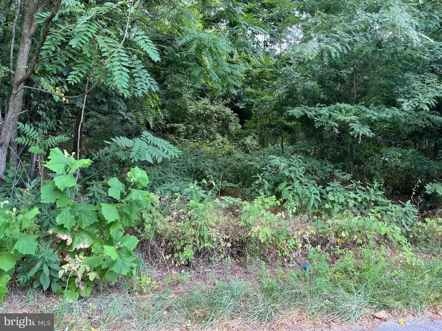 Sierra, Martinsburg, WV 25403 - Image #3