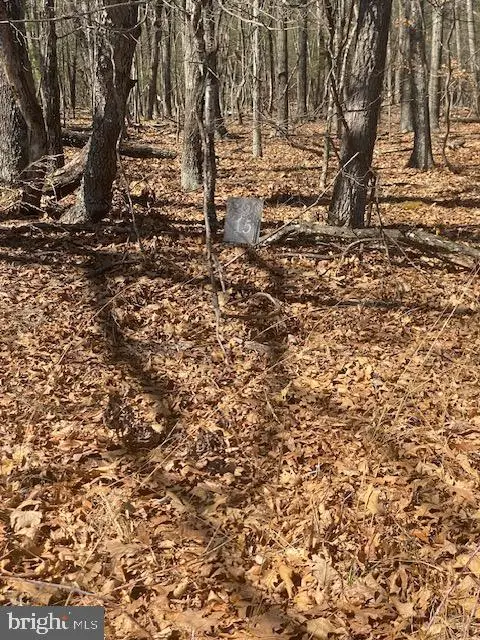 Tbd Marigold, Gerrardstown, WV 25420 - Image #1