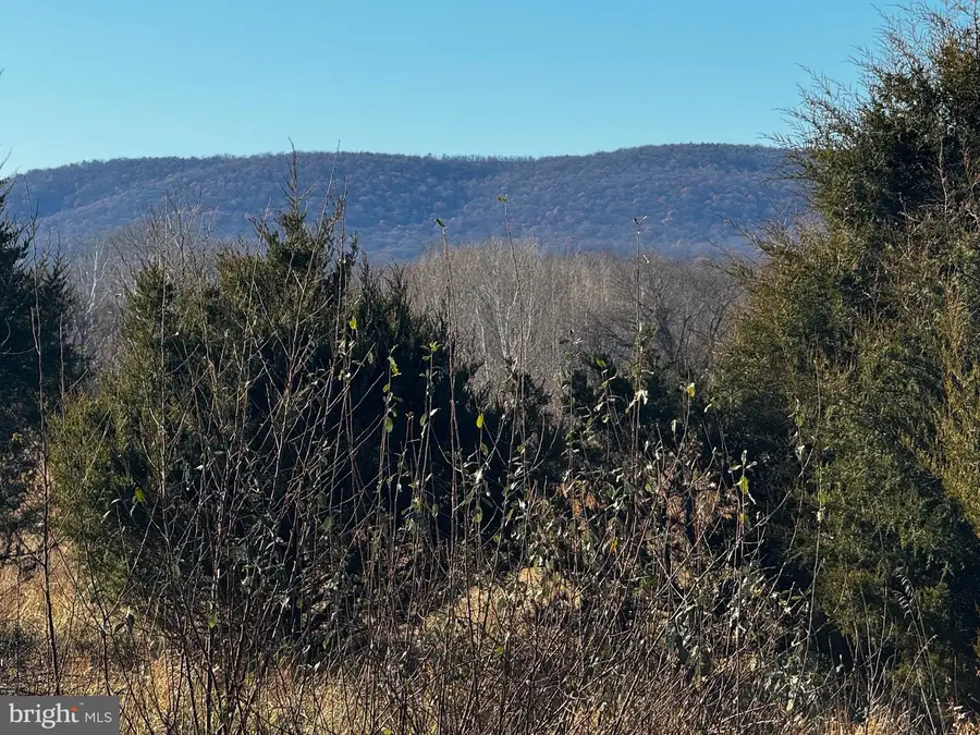 20 Hallows Way, Gerrardstown, WV 25420 - Image #3