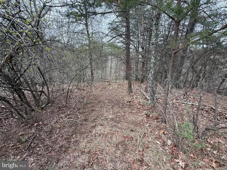 Lot A 3.09 Acres Serenity Ln, Hedgesville, WV 25427 - Image #3