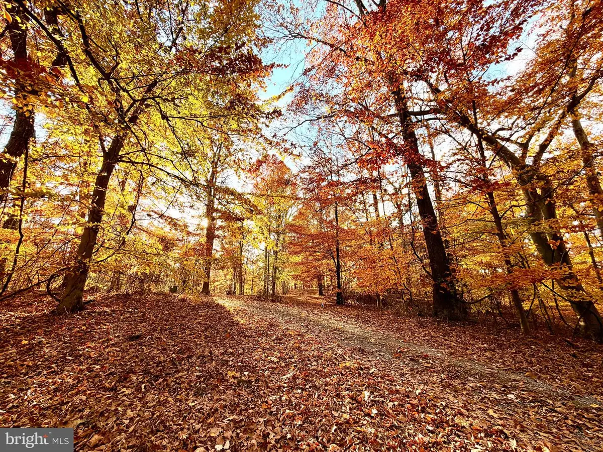 Goaway Rd, Hedgesville, WV 25427 - Image #1