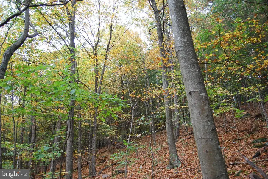 Off Crossroads School Rd, Hedgesville, WV 25427 - Image #2