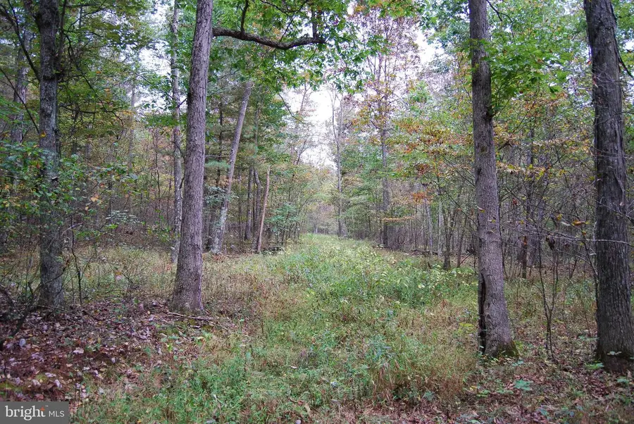 Off Crossroads School Rd, Hedgesville, WV 25427 - Image #3