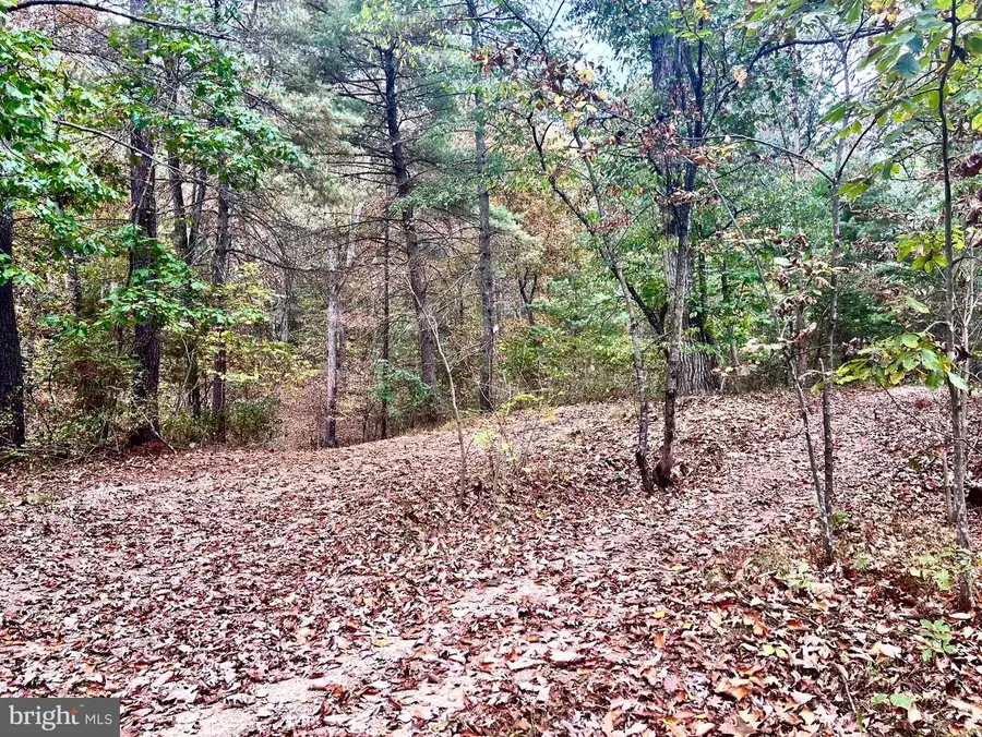 Parcel 38 Conservation Drive, Hedgesville, WV 25427 - Image #3