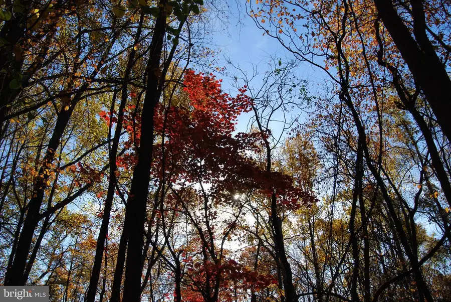 Lot C&d Off Parish Drive, Gerrardstown, WV 25420 - Image #3