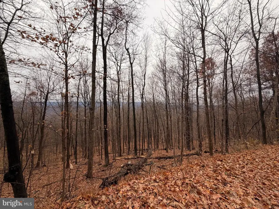 6.71 Ac Lot 9 Gobbler Lane, Hedgesville, WV 25427 - Image #2
