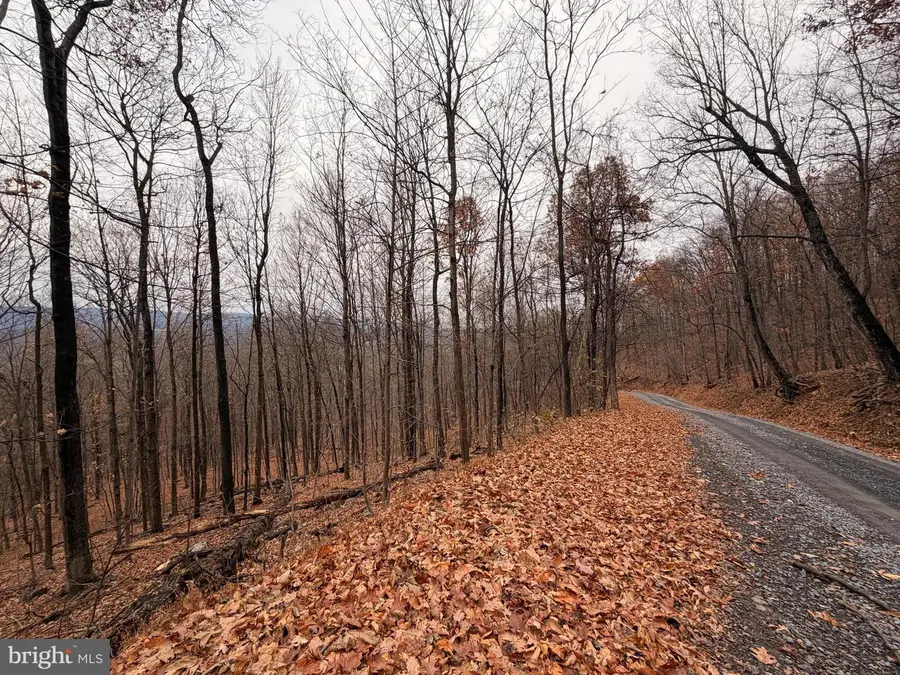 6.71 Ac Lot 9 Gobbler Lane, Hedgesville, WV 25427 - Image #3