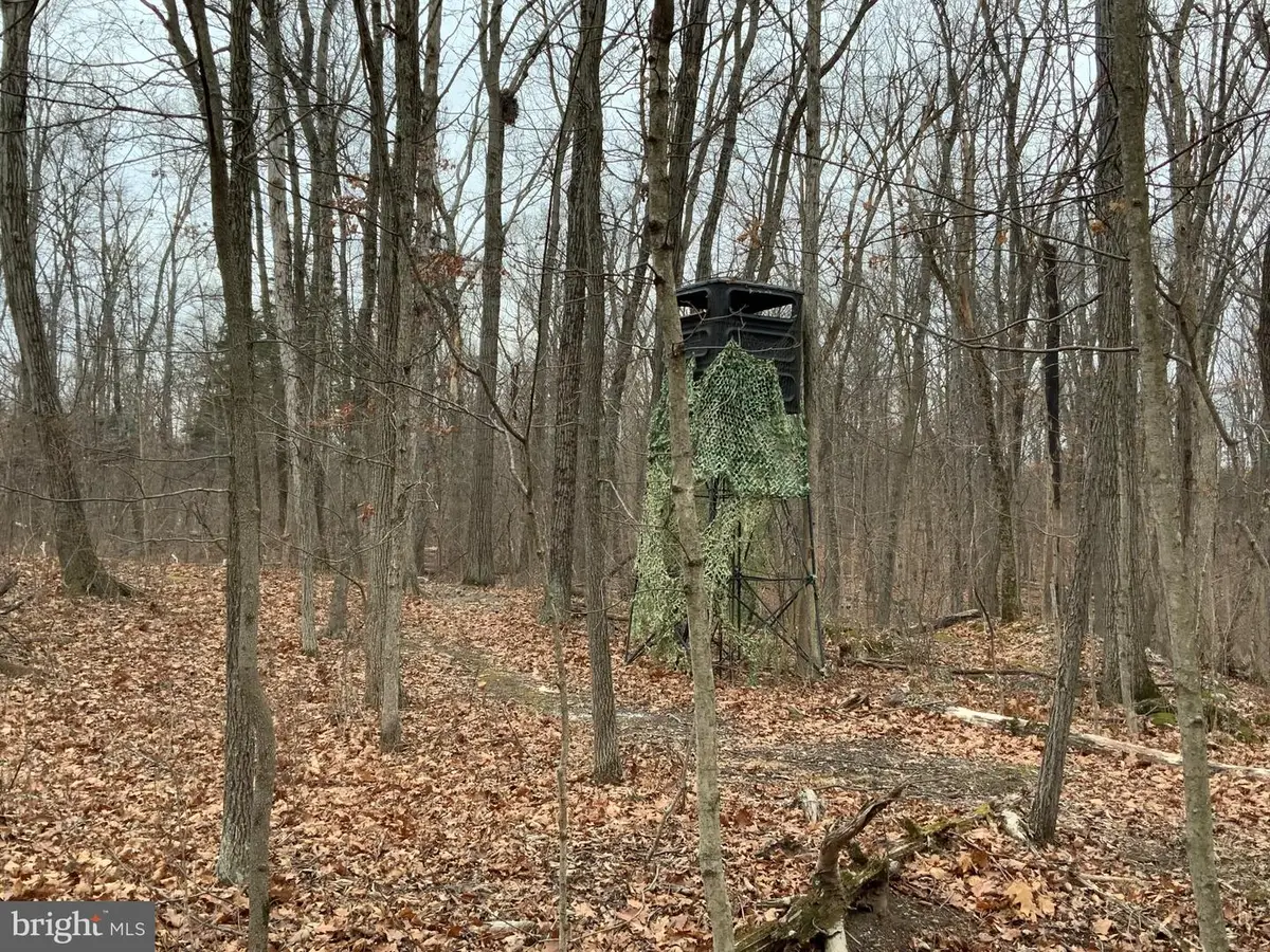 Lot 33 Nestle Quarry Rd, Falling Waters, WV 25419 - Image #1