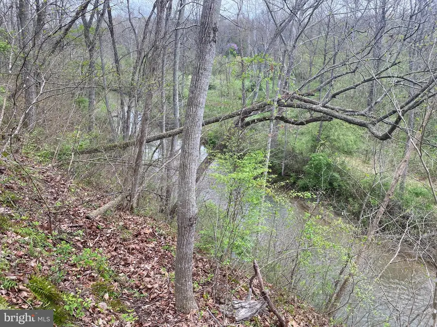 Lot B Specks Run Rd, Bunker Hill, WV 25413 - #3