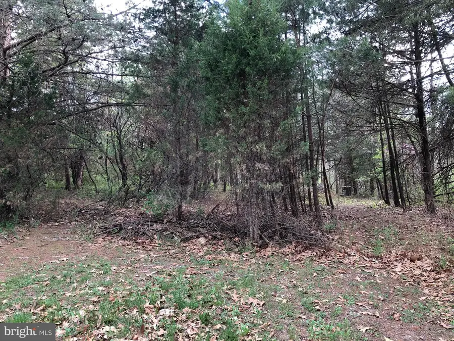 Lot A Nadenbousch Ln, Inwood, WV 25428 - #2