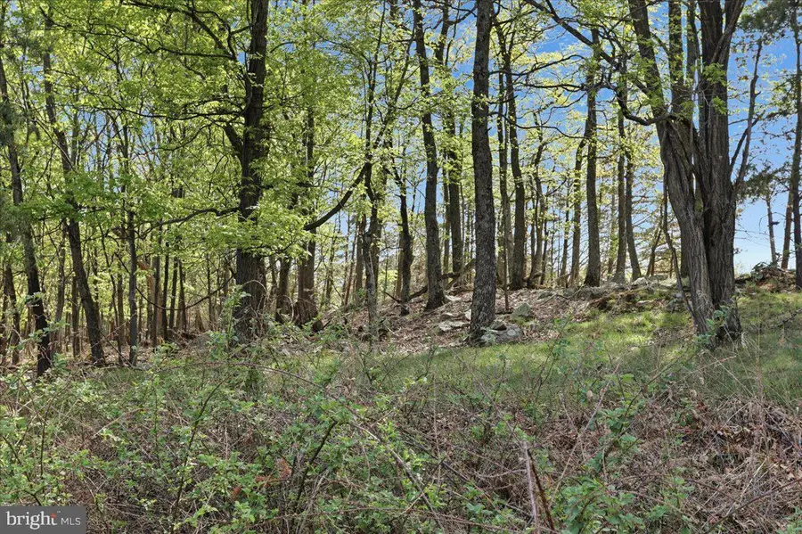 316 Jade Ct, Hedgesville, WV 25427 - #2