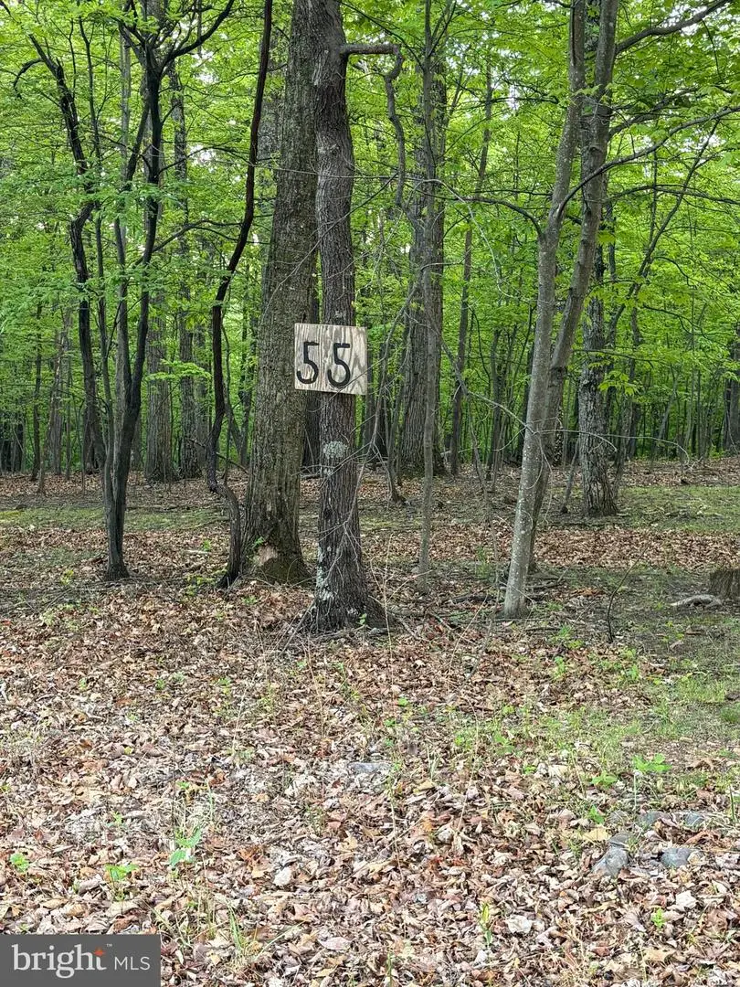 Lot 55 Grimaldi Way, Hedgesville, WV 25427 - #3