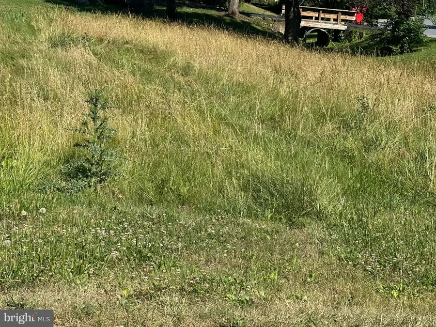 Lot 01 Gabriel Dr, Martinsburg, WV 25405 - #2